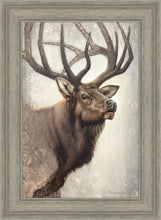 Load image into Gallery viewer, Nature's Allure
