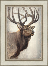 Load image into Gallery viewer, Nature's Allure
