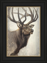 Load image into Gallery viewer, Nature's Allure
