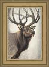 Load image into Gallery viewer, Nature's Allure
