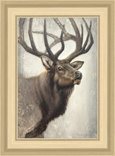 Load image into Gallery viewer, Nature's Allure
