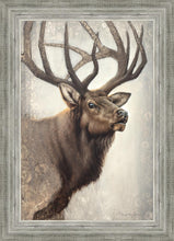 Load image into Gallery viewer, Nature's Allure
