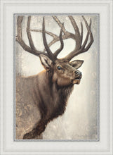 Load image into Gallery viewer, Nature's Allure
