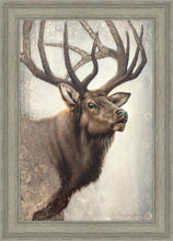Load image into Gallery viewer, Nature's Allure
