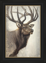 Load image into Gallery viewer, Nature's Allure
