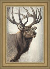 Load image into Gallery viewer, Nature's Allure
