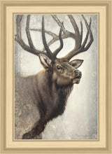 Load image into Gallery viewer, Nature's Allure
