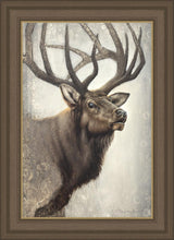 Load image into Gallery viewer, Nature's Allure
