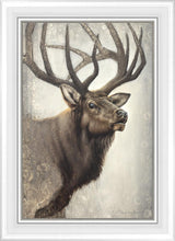 Load image into Gallery viewer, Nature's Allure
