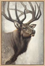 Load image into Gallery viewer, Nature's Allure Gallery Wrap
