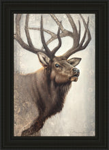 Load image into Gallery viewer, Nature's Allure
