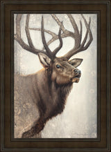 Load image into Gallery viewer, Nature's Allure
