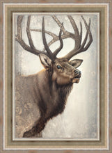 Load image into Gallery viewer, Nature's Allure
