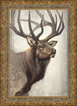 Load image into Gallery viewer, Nature's Allure

