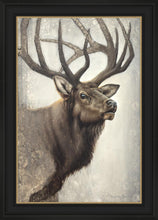 Load image into Gallery viewer, Nature's Allure
