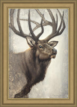 Load image into Gallery viewer, Nature's Allure
