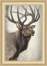 Load image into Gallery viewer, Nature's Allure
