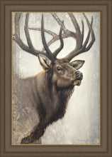 Load image into Gallery viewer, Nature's Allure
