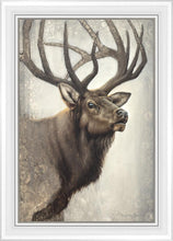 Load image into Gallery viewer, Nature's Allure
