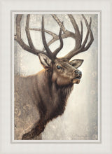 Load image into Gallery viewer, Nature's Allure

