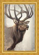 Load image into Gallery viewer, Nature's Allure
