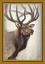 Load image into Gallery viewer, Nature's Allure Large Wall Art
