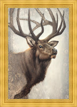 Load image into Gallery viewer, Nature's Allure Large Wall Art
