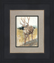 Load image into Gallery viewer, Colors of The Wild
