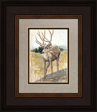 Load image into Gallery viewer, Colors of The Wild
