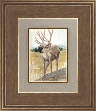 Load image into Gallery viewer, Colors of The Wild
