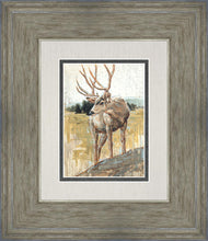 Load image into Gallery viewer, Colors of The Wild
