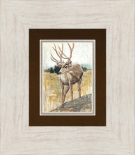 Load image into Gallery viewer, Colors of The Wild
