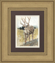 Load image into Gallery viewer, Colors of The Wild
