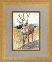 Load image into Gallery viewer, Colors of The Wild
