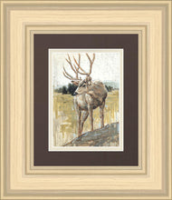 Load image into Gallery viewer, Colors of The Wild
