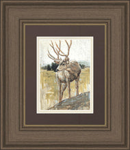 Load image into Gallery viewer, Colors of The Wild
