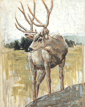 Load image into Gallery viewer, Colors of The Wild Gallery Wrap
