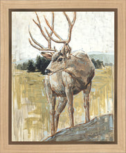 Load image into Gallery viewer, Colors of The Wild
