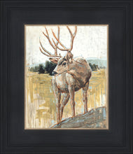 Load image into Gallery viewer, Colors of The Wild
