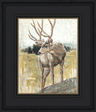 Load image into Gallery viewer, Colors of The Wild

