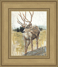 Load image into Gallery viewer, Colors of The Wild
