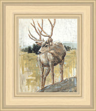 Load image into Gallery viewer, Colors of The Wild
