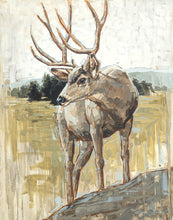 Load image into Gallery viewer, Colors of The Wild
