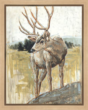 Load image into Gallery viewer, Colors of The Wild Gallery Wrap
