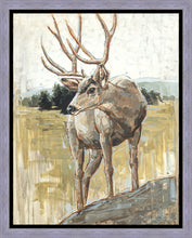 Load image into Gallery viewer, Colors of The Wild
