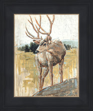 Load image into Gallery viewer, Colors of The Wild
