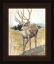 Load image into Gallery viewer, Colors of The Wild
