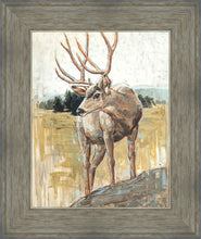 Load image into Gallery viewer, Colors of The Wild
