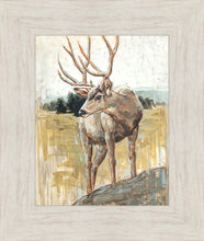 Load image into Gallery viewer, Colors of The Wild
