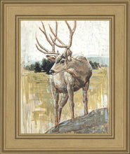 Load image into Gallery viewer, Colors of The Wild
